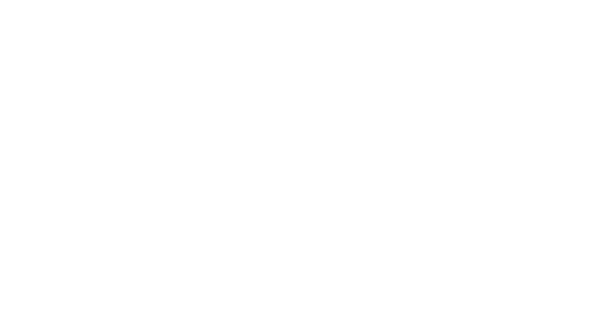 Logo for Trimlight Lees Summit, Authorized Dealer, featuring two outlined house rooftops with windows above the company name in bold letters.